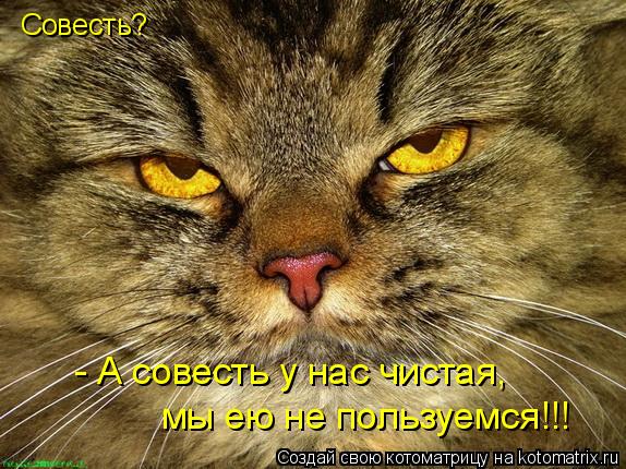 Котоматрица: Совесть? - А совесть у нас чистая, мы ею не пользуемся!!!