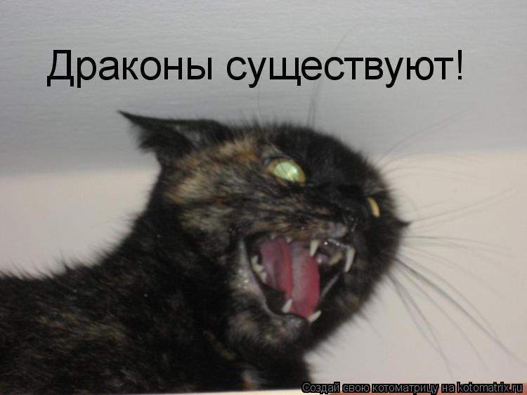 Драконы существуют!... Котоматрица: Драконы существуют!