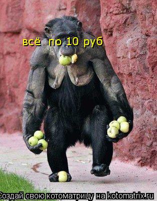 всё по 10 руб... Котоматрица: всё по 10 руб