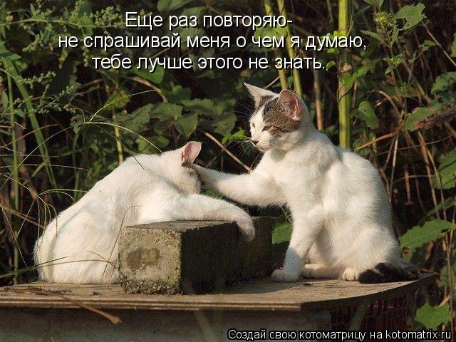 Еще раз повторяю- не спрашивай меня о чем я думаю, тебе лучше этого не знать.... Котоматрица: Еще раз повторяю- не спрашивай меня о чем я думаю, тебе лучше этого не знать.