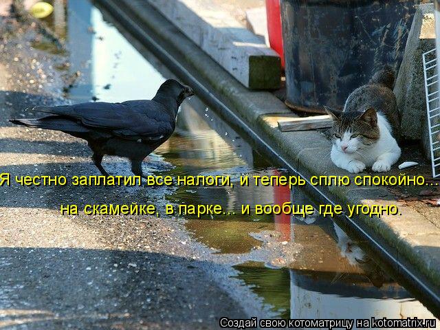 Я честно заплатил все налоги, и теперь сплю спокойно... на скамейке, в парке... и вообще где угодно... Котоматрица: Я честно заплатил все налоги, и теперь сплю спокойно... на скамейке, в парке... и вообще где угодно.