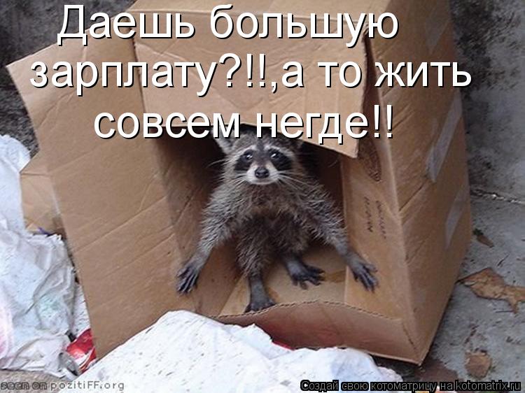 Даешь большую зарплату?!!,а то жить совсем негде!!... Котоматрица: Даешь большую зарплату?!!,а то жить совсем негде!!