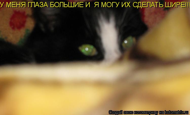 У МЕНЯ ГЛАЗА БОЛЬШИЕ И Я МОГУ ИХ СДЕЛАТЬ ШИРЕ!!!!... Котоматрица: У МЕНЯ ГЛАЗА БОЛЬШИЕ И Я МОГУ ИХ СДЕЛАТЬ ШИРЕ!!!!
