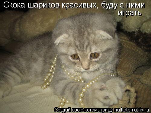 Котоматрица: Скока шариков красивых, буду с ними играть