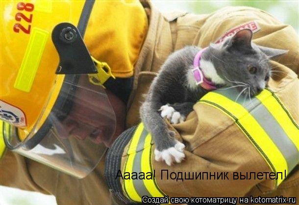 Котоматрица: Ааааа! Подшипник вылетел!