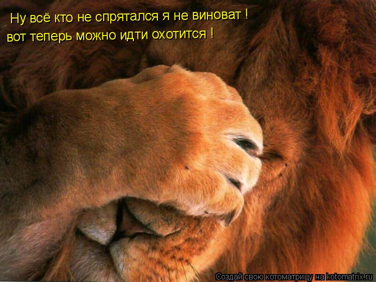 Котоматрица: Ну всё кто не спрятался я не виноват ! вот теперь можно идти охотится !