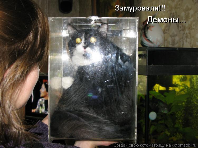 Замуровали!!! Демоны...... Котоматрица: Замуровали!!! Демоны...
