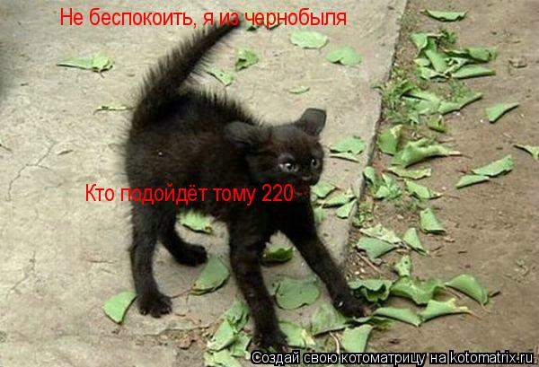 Не беспокоить, я из чернобыля Кто подойдёт тому 220... Котоматрица: Не беспокоить, я из чернобыля Кто подойдёт тому 220