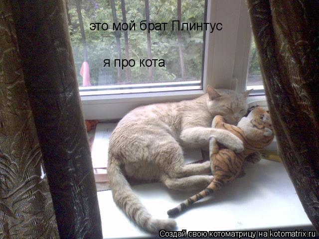 Котоматрица: это мой брат Плинтус я про кота