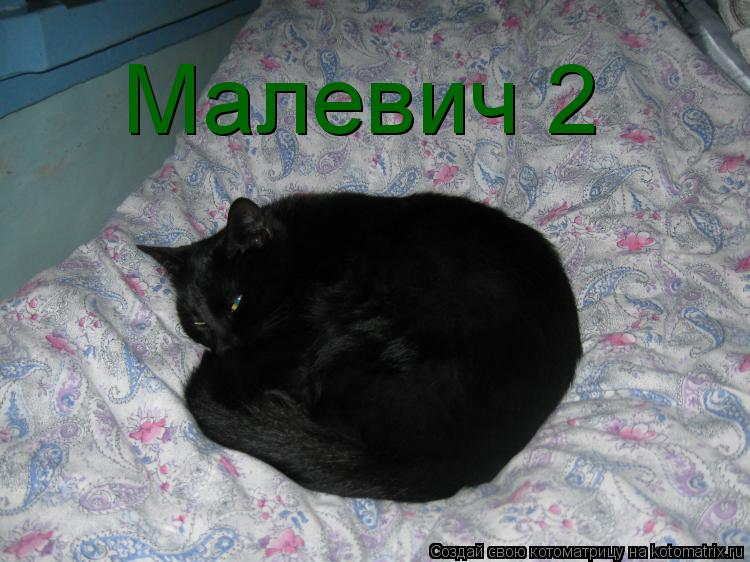 Котоматрица: Малевич 2