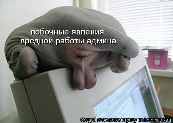 побочные явления вредной работы админа... Котоматрица: побочные явления вредной работы админа