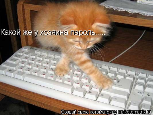 Какой же у хозяина пароль........ Котоматрица: Какой же у хозяина пароль.....