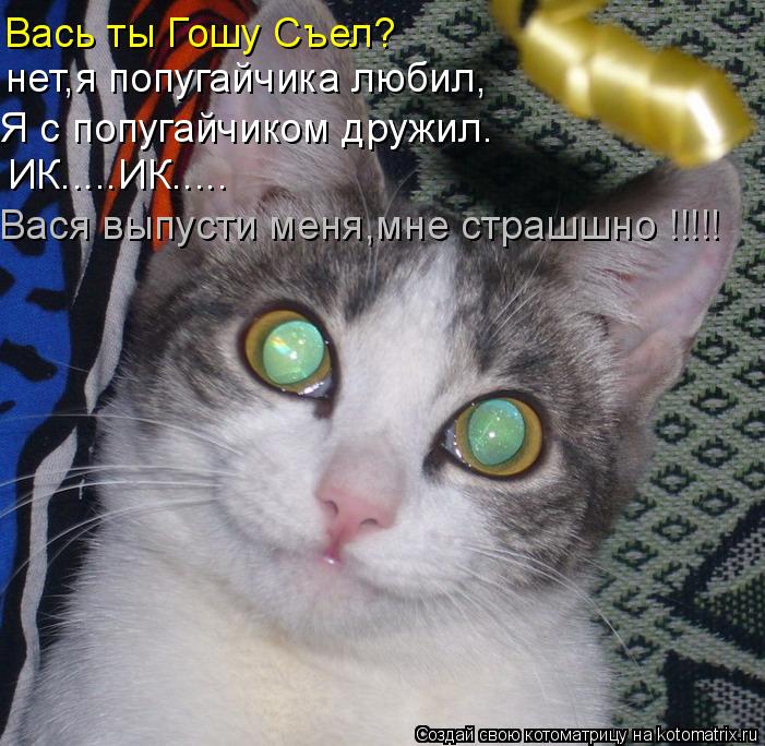Вась ты Гошу Съел? нет,я попугайчика любил, Я с попугайчиком дружил. ИК.....ИК..... Вася выпусти меня... Котоматрица: Вась ты Гошу Съел? нет,я попугайчика любил, Я с попугайчиком дружил. ИК.....ИК..... Вася выпусти меня,мне страшшно !!!!!