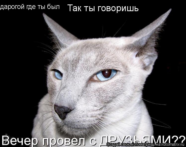 дарогой где ты был... Котоматрица: дарогой где ты был