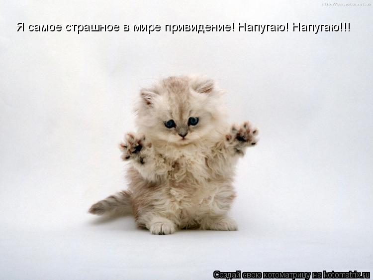 Котоматрица: Я самое страшное в мире привидение! Напугаю! Напугаю!!! Я самое страшное в мире привидение! Напугаю! Напугаю!!!