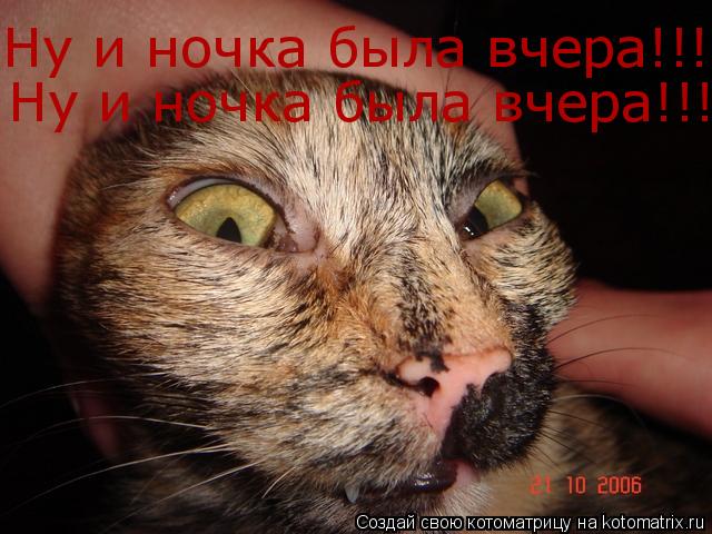 Ну и ночка была вчера!!!!!!!!!!! Ну и ночка была вчера!!!!!!!!!!!... Котоматрица: Ну и ночка была вчера!!!!!!!!!!! Ну и ночка была вчера!!!!!!!!!!!
