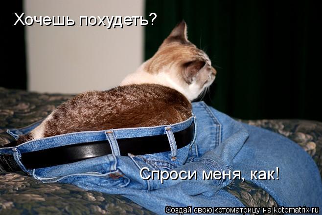 Котоматрица: Хочешь похудеть? Спроси меня, как!