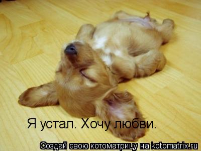 Котоматрица: Я устал. Хочу любви.