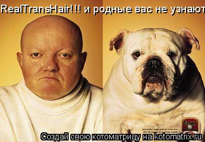 Котоматрица: RealTransHair!!! и родные вас не узнают