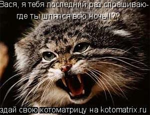 Вася, я тебя последний раз спрашиваю- где ты шлялся всю ночь!!??... Котоматрица: Вася, я тебя последний раз спрашиваю- где ты шлялся всю ночь!!??