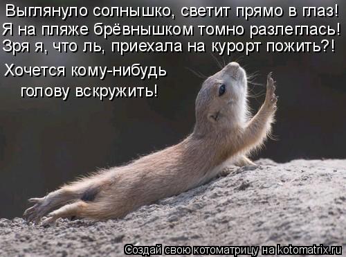 Выглянуло солнышко, светит прямо в глаз! голову вскружить! Хочется кому-нибудь Я на пляже брёвнышком ... Котоматрица: Выглянуло солнышко, светит прямо в глаз! голову вскружить! Хочется кому-нибудь Я на пляже брёвнышком томно разлеглась! Зря я, что ль, приехал