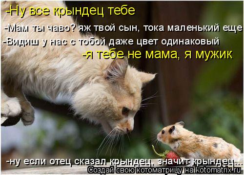 -Ну все крындец тебе -Мам ты чаво? яж твой сын, тока маленький еще -Видиш у нас с тобой даже цвет од... Котоматрица: -Ну все крындец тебе -Мам ты чаво? яж твой сын, тока маленький еще -Видиш у нас с тобой даже цвет одинаковый -я тебе не мама, я мужик -ну если от