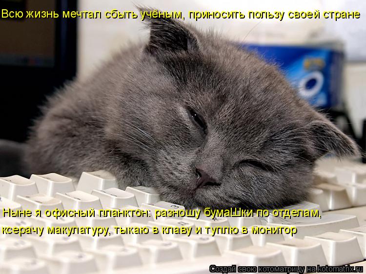 Всю жизнь мечтал сбыть учёным, приносить пользу своей стране Ныне я офисный планктон: разношу бумаШки... Котоматрица: Всю жизнь мечтал сбыть учёным, приносить пользу своей стране Ныне я офисный планктон: разношу бумаШки по отделам, ксерачу макулатуру, тыкаю