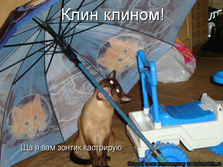 Клин клином! Ща я вам зонтик кастрирую... Котоматрица: Клин клином! Ща я вам зонтик кастрирую