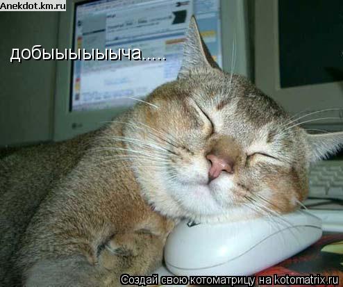 добыыыыыыча........ Котоматрица: добыыыыыыча.....