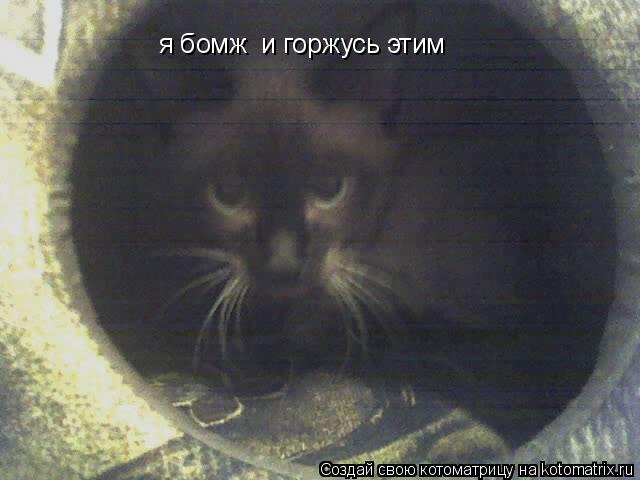 я бомж и горжусь этим... Котоматрица: я бомж и горжусь этим
