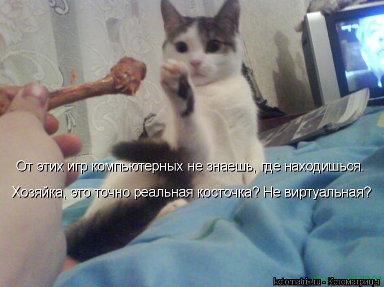 Котоматрица: Хозяйка, это точно реальная косточка? Не виртуальная?    От этих игр компьютерных не знаешь, где находишься.