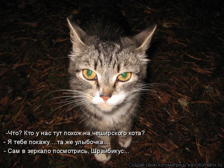 -Что? Кто у нас тут похож на чеширского кота? - Я тебе покажу ...та же улыбочка.... - Сам в зеркало ... Котоматрица: -Что? Кто у нас тут похож на чеширского кота? - Я тебе покажу ...та же улыбочка.... - Сам в зеркало посмотрись, Шрайбикус...