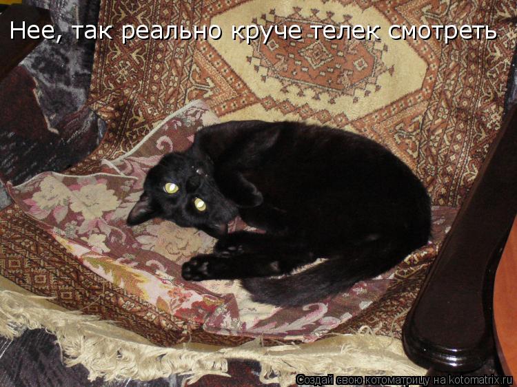 Нее, так реально круче телек смотреть... Котоматрица: Нее, так реально круче телек смотреть