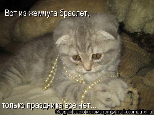 Котоматрица: Вот из жемчуга браслет, только праздника все нет...