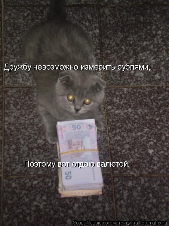 Котоматрица: Дружбу невозможно измерить рублями, Поэтому вот отдаю валютой.