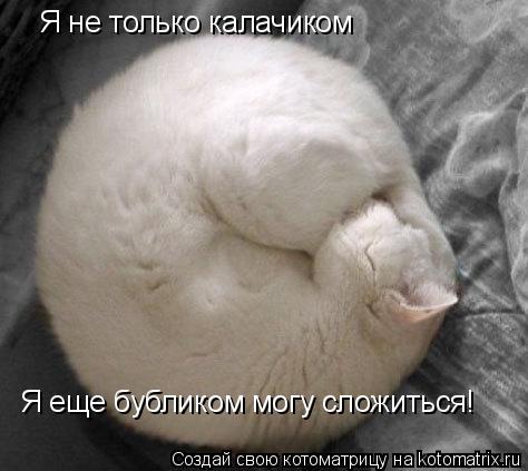 Я не только калачиком Я еще бубликом могу сложиться!... Котоматрица: Я не только калачиком Я еще бубликом могу сложиться!