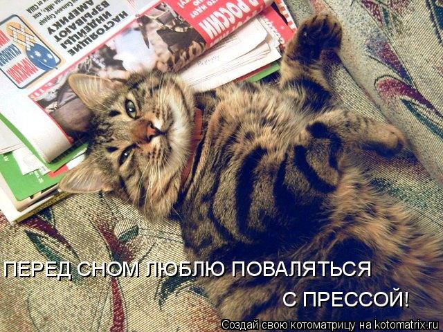 ПЕРЕД СНОМ ЛЮБЛЮ ПОВАЛЯТЬСЯ С ПРЕССОЙ!... Котоматрица: ПЕРЕД СНОМ ЛЮБЛЮ ПОВАЛЯТЬСЯ С ПРЕССОЙ!