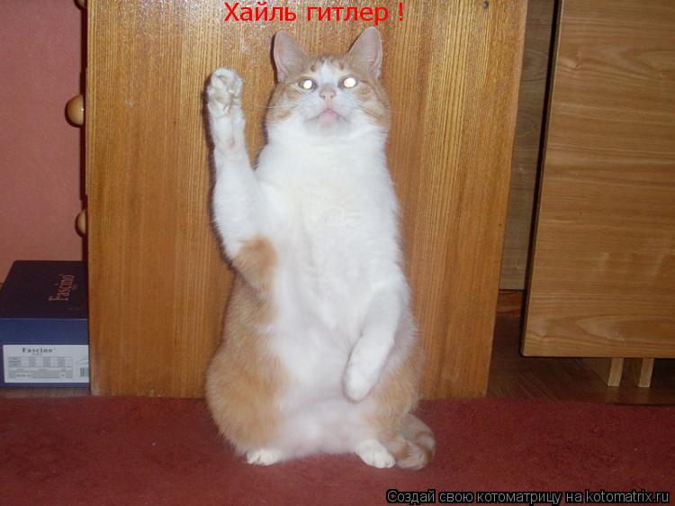 Котоматрица: Хайль гитлер !