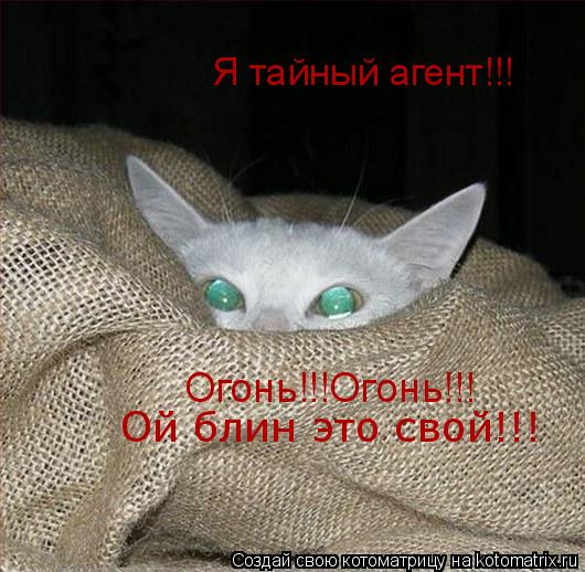 Я тайный агент!!! Огонь!!!Огонь!!! Ой блин это свой!!!... Котоматрица: Я тайный агент!!! Огонь!!!Огонь!!! Ой блин это свой!!!