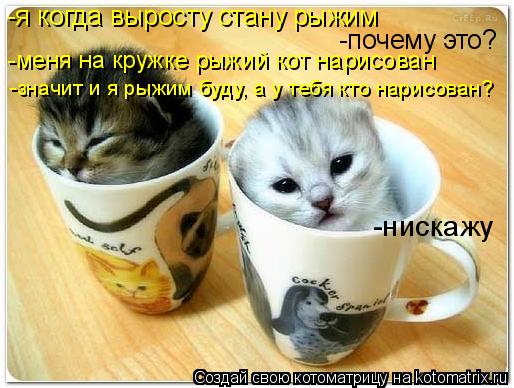 -я когда выросту стану рыжим -почему это? -меня на кружке рыжий кот нарисован -значит и я рыжим буду,... Котоматрица: -я когда выросту стану рыжим -почему это? -меня на кружке рыжий кот нарисован -значит и я рыжим буду, а у тебя кто нарисован? -нискажу