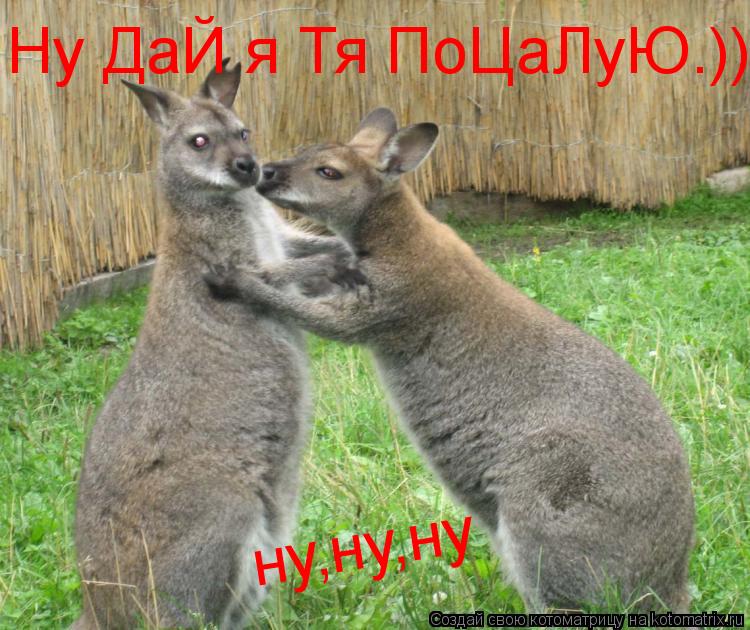 Котоматрица: Ну ДаЙ я Тя ПоЦаЛуЮ.)) ну,ну,ну
