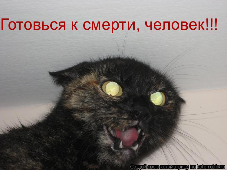 Котоматрица: Готовься к смерти, человек!!!