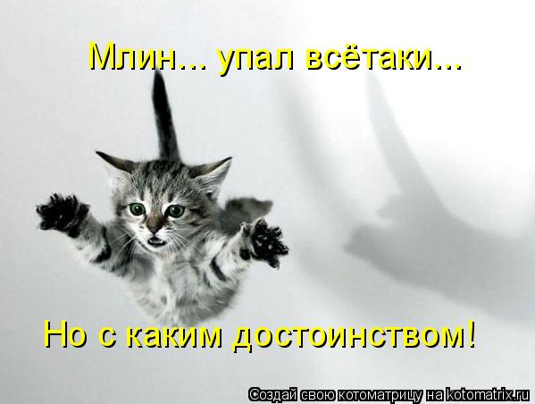 Млин... упал всётаки... Но с каким достоинством!... Котоматрица: Млин... упал всётаки... Но с каким достоинством!