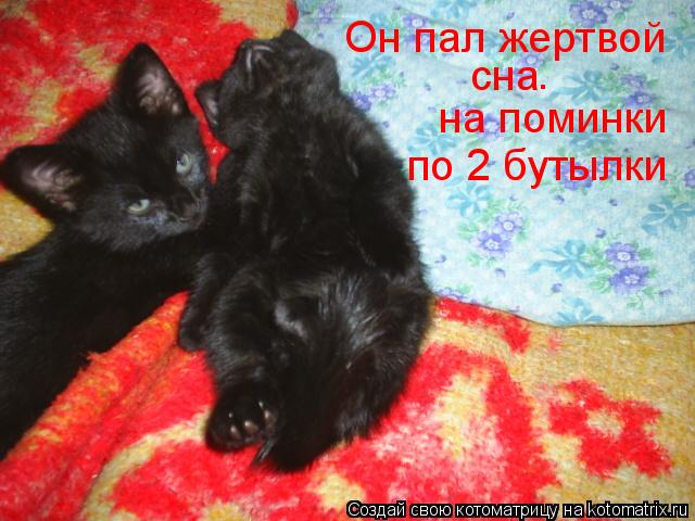 Он пал жертвой сна на поминки по 2 бутылки .... Котоматрица: Он пал жертвой сна на поминки по 2 бутылки .