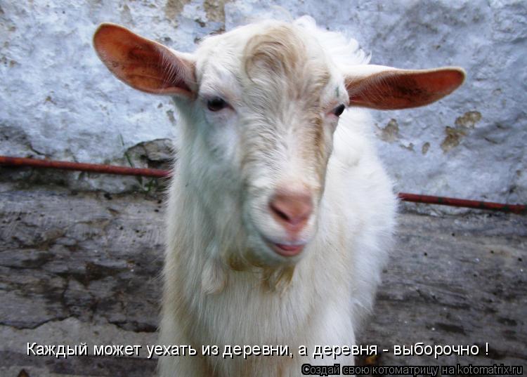 Котоматрица: Каждый может уехать из деревни, а деревня - выборочно !