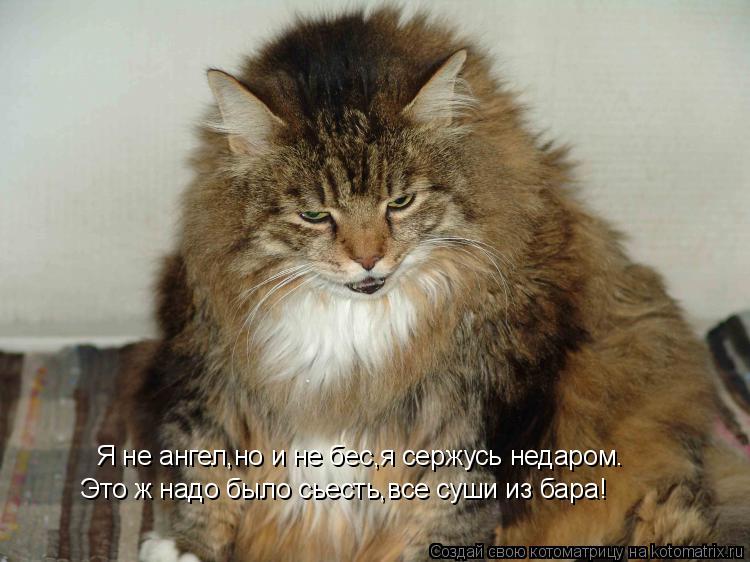 Я не ангел,но и не бес,я сержусь недаром. Это ж надо было сьесть,все суши из бара!... Котоматрица: Я не ангел,но и не бес,я сержусь недаром. Это ж надо было сьесть,все суши из бара!