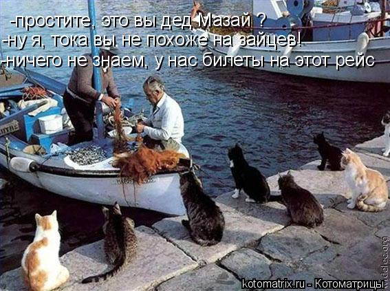 -простите, это вы дед Мазай ? -ну я, тока вы не похоже на зайцев! -ничего не знаем, у нас билеты на э... Котоматрица: -простите, это вы дед Мазай ? -ну я, тока вы не похоже на зайцев! -ничего не знаем, у нас билеты на этот рейс