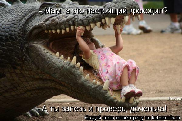 - Мам, а это настоящий крокодил? - А ты залезь и проверь, доченька!... Котоматрица: - Мам, а это настоящий крокодил? - А ты залезь и проверь, доченька!