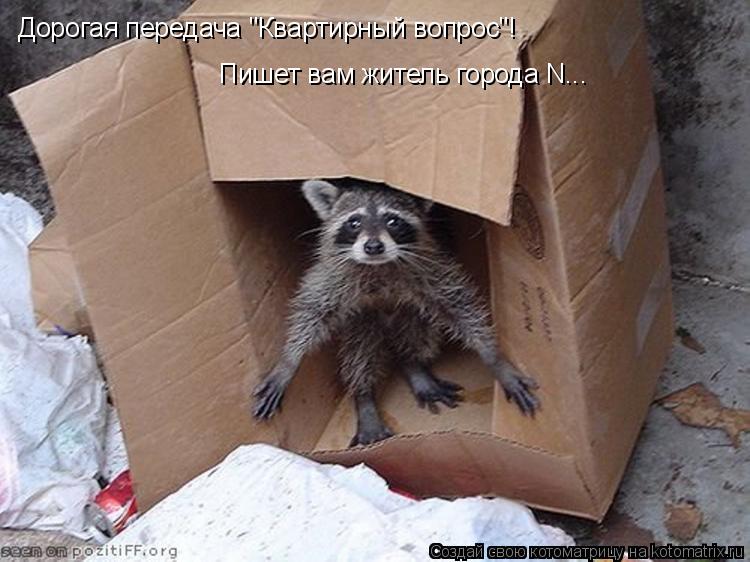 Дорогая передача "Квартирный вопрос"! Пишет вам житель города N...... Котоматрица: Дорогая передача "Квартирный вопрос"! Пишет вам житель города N...