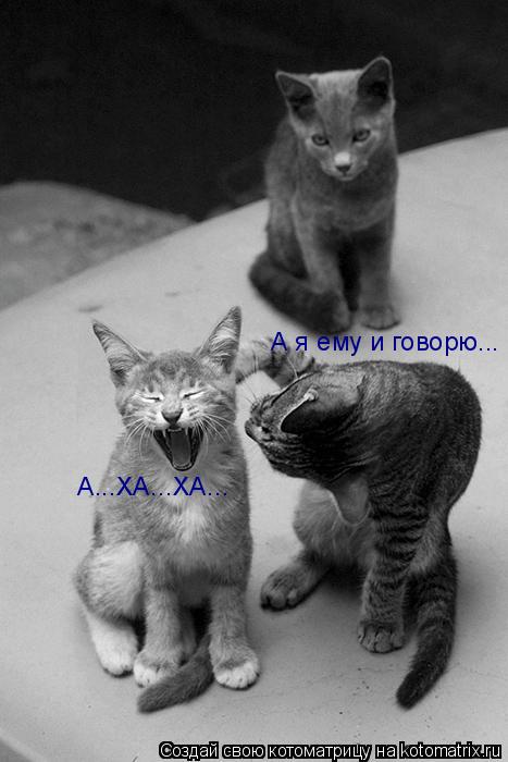 А я ему и говорю... А...ХА...ХА...... Котоматрица: А я ему и говорю... А...ХА...ХА...